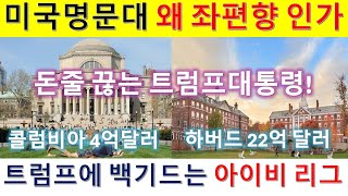 MS411 아이비 리그 돈줄 끊는 트럼프. 미국 명문대 좌편향인 이유.