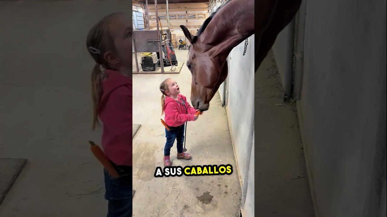 Esta niña alimenta a sus caballos todos los días con cariño 🐴💖
