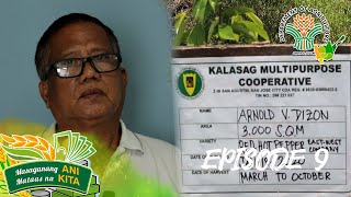 Ani at Kita sa Agrikultura: Good Agricultural Practices (GAP) Certification | Episode 9