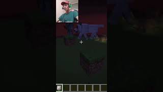 واقعاً چرا😂؟ #iran #minecraft #ماينكرافت #gaming #fony #فان #java #جاوا #wolf #گرگ #skeleton