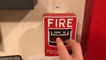 Notifier AFP-200 Test 3: Request Test-Jared Dart