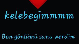 Ben Gönlümü Sana Verdim...