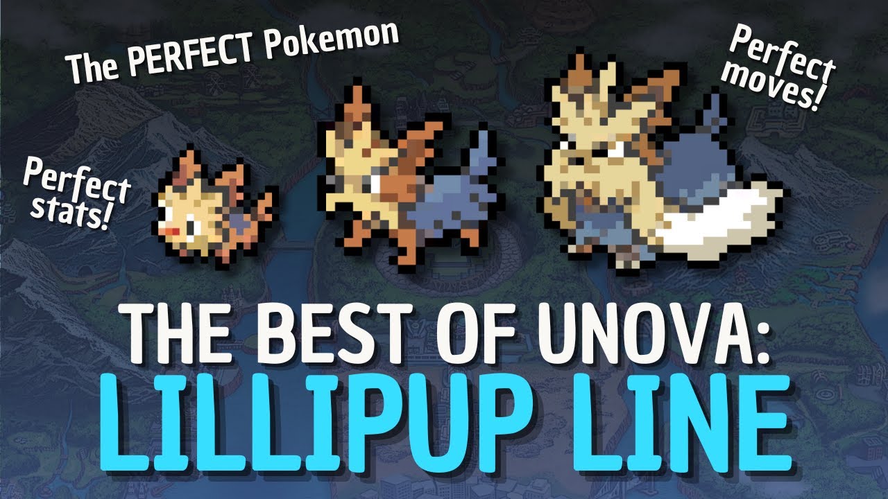 Why you should have a Lillipup in your Pokemon Black & White team