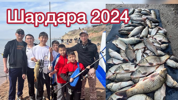 Ресейлік шоу жұлдыздарының порно суреттері Тамағыма пышақ салып, сиқырды сордым