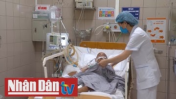 Cảnh báo tình trạng rắn cắn gia tăng