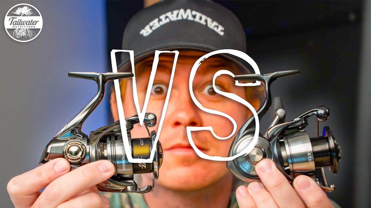 Twin Power FE или Certate LT: что лучше для вас?