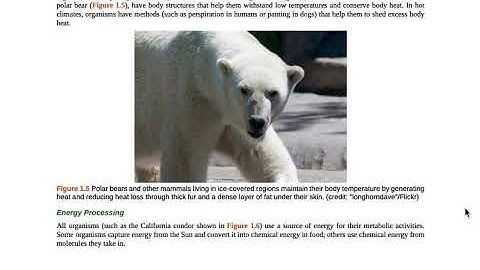 OpenStax Concepts of Biology 1.1 Introduction to Biology Themes and Concepts