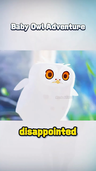 The little owl carried its brother, still an egg, in search of their mother.