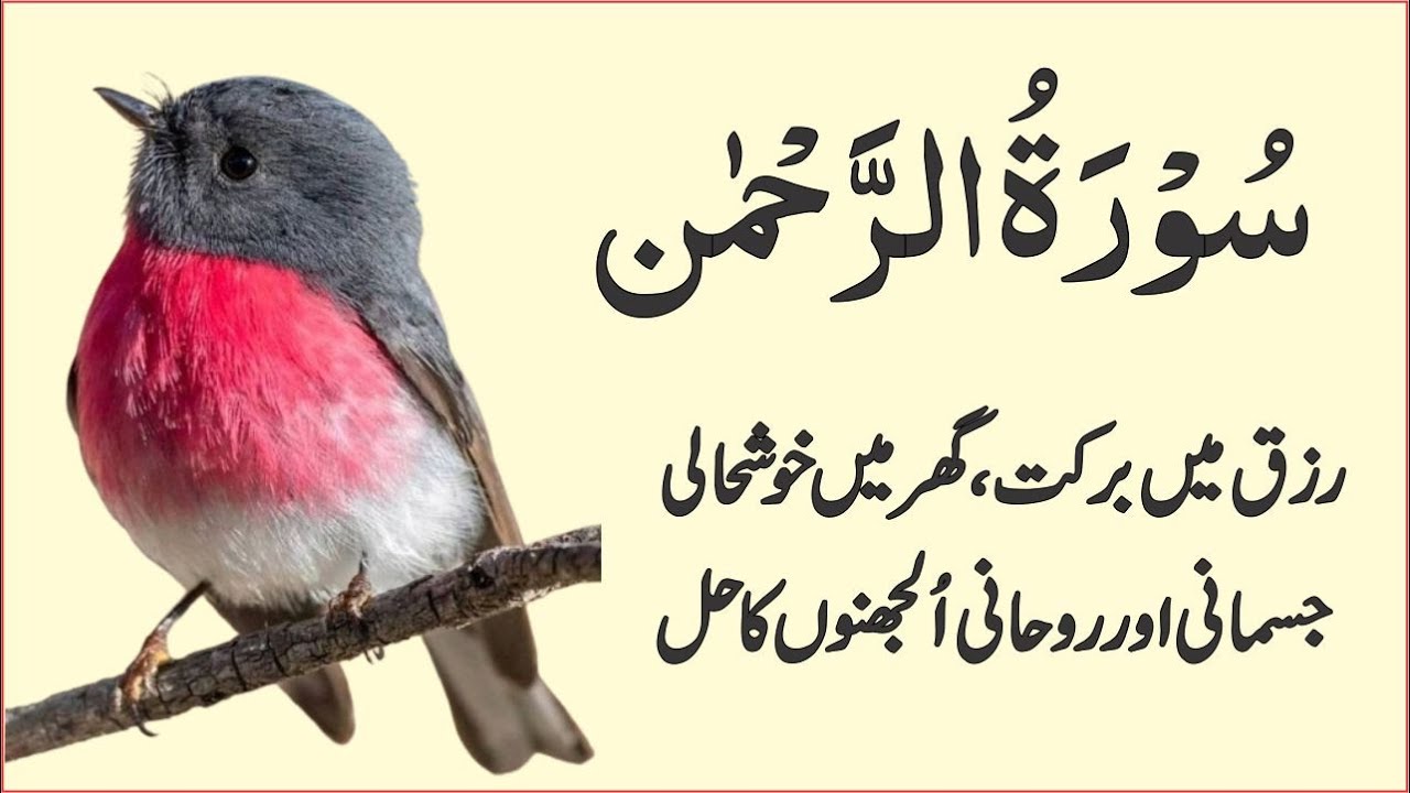 Surah Rahman Quran Recitation Beautiful Voice | سورۃ رحمنEp4675