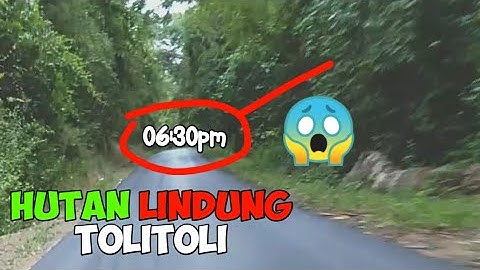 Hutan lindung kabupaten TOLITOLI |jalan-jalan
