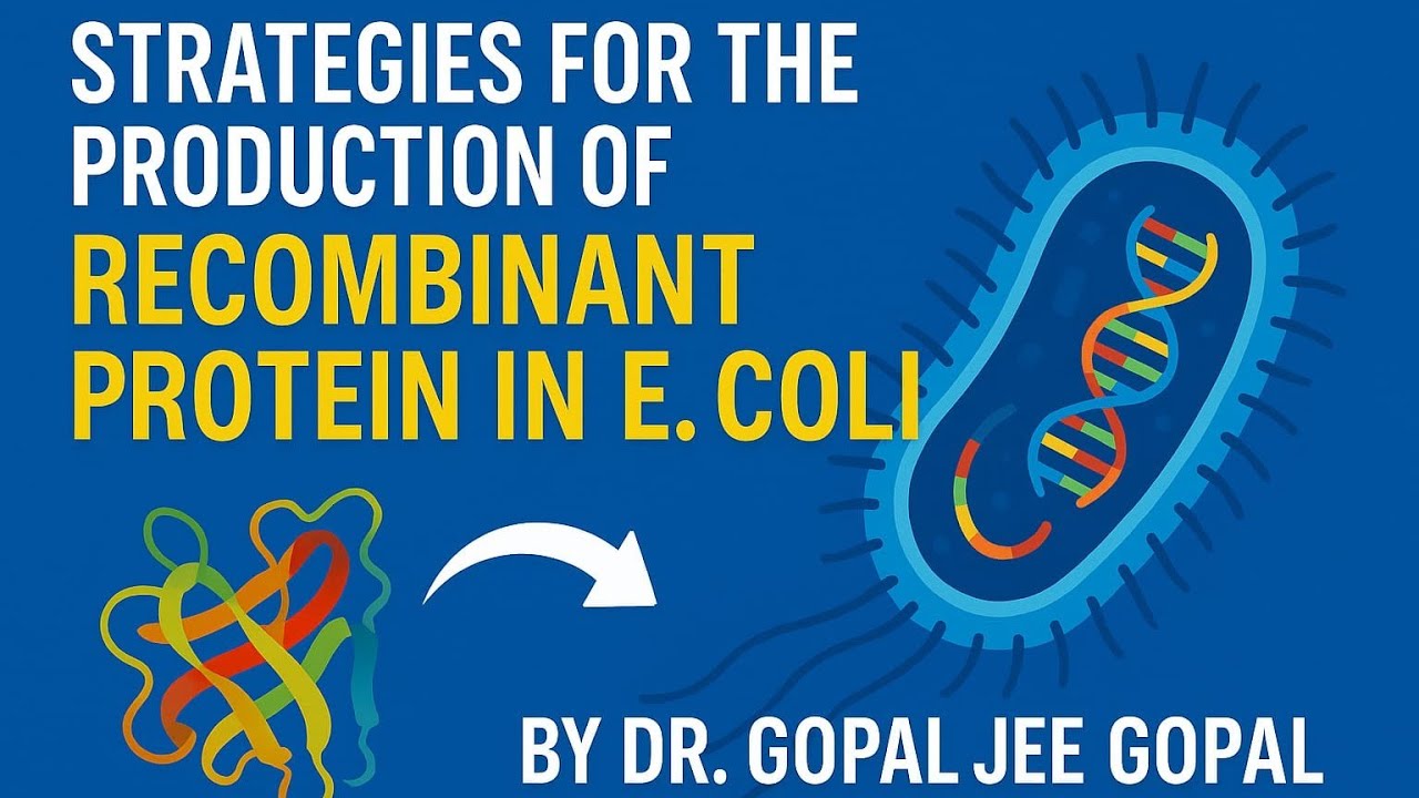 Strategies for the production of Recombinant Protein In E coli (Part 1)