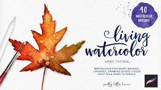 How to paint a watercolor maple leaf in Procreate - step by step tutorial