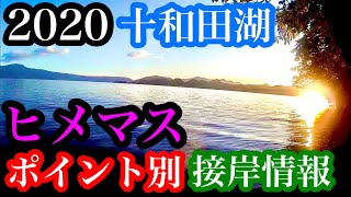 十和田湖ヒメマス情報 10月16日ポイント別接岸情報 坊主 Youtube