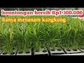 Meraup jutaan rupiah /bulan hanya menanam kangkung hidroponik.