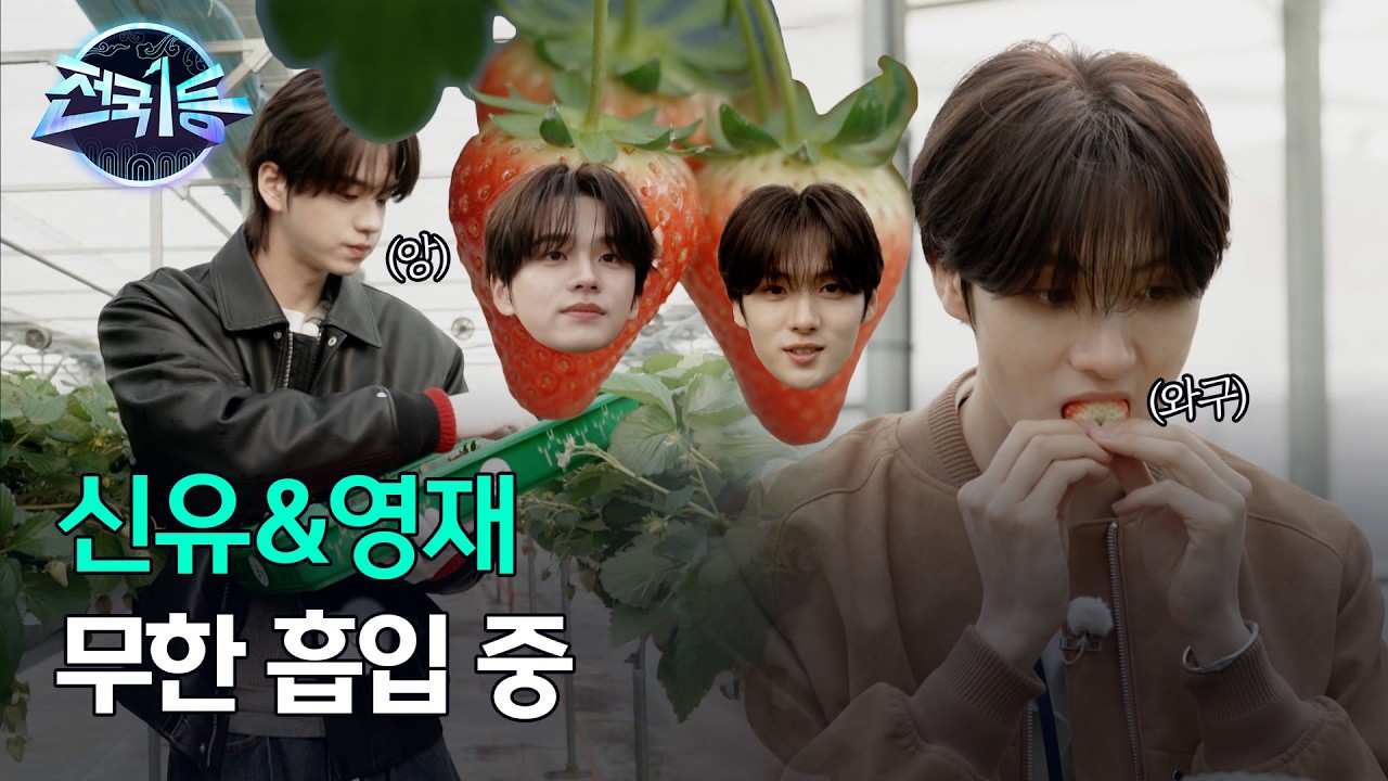 [전국1등] 신유&영재가 직접 수확한 역대급 당도 '골드베리' (ASMR 주의), MBC 260223 방송