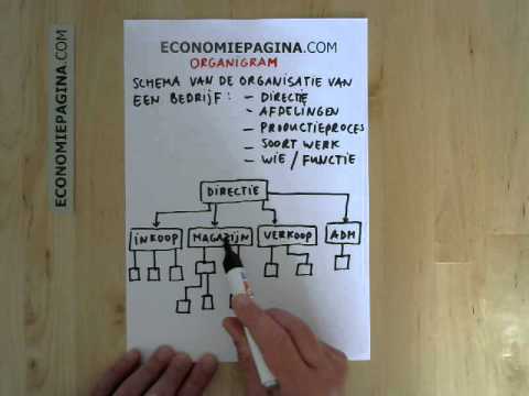 Organigram (Economiepagina.com)