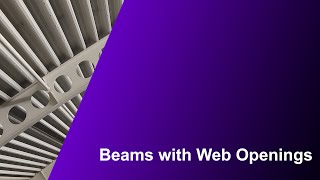 Beams with Web Openings