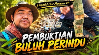 Elar Manyura Expedition Episode 8 | Searching for the Love Charm Bamboo