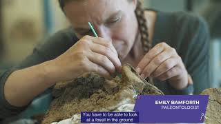 Emily Bamforth - Palentologist