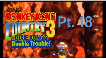 DKC 3: Dixie Kong