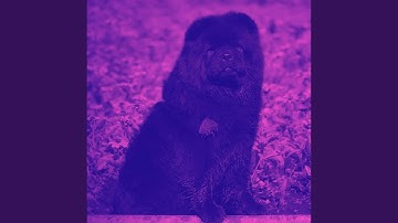 Pulsating Backdrops for Roaring Pups