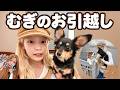 ママ激病み案件。さらば静岡。むぎが東京の女になります。