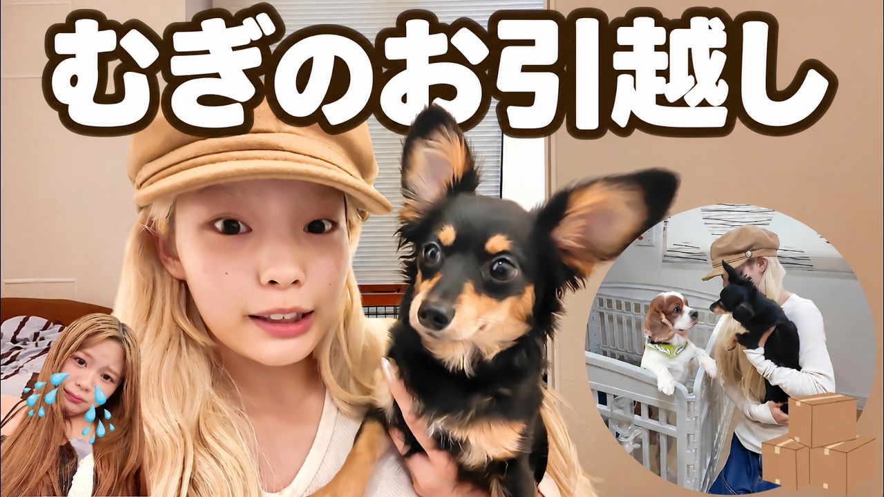 Mom is devastated. Goodbye Shizuoka. Mugi is becoming a Tokyo girl