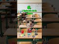 POV : Le top 17 des types d'élèves en classe#humour #drole #catmemes #pov #humoristefrancais