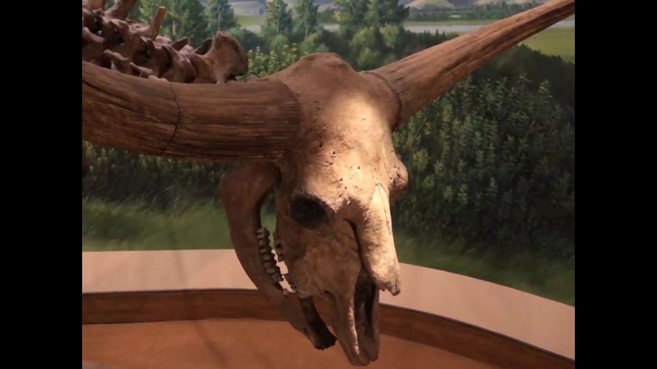 What In The RSM. . .?