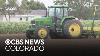 Colorado loses more farmland than any other state; some farmers say state policies aren't helping