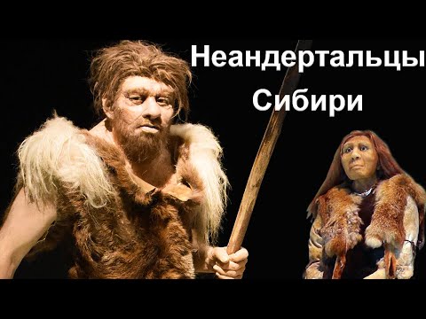 Siberian Neanderthals were from different waves of migration (DNA from the Chagyrskaya Cave, Altai)