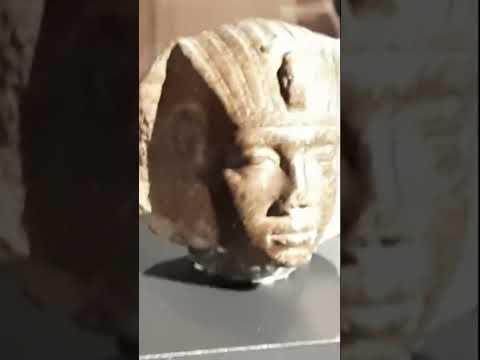 Бейне: Перғауын Аменемхет III мүсіні және Эрмитаж Египет залының басқа да экспонаттары