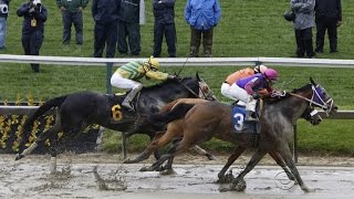 Two horses die in early Preakness races