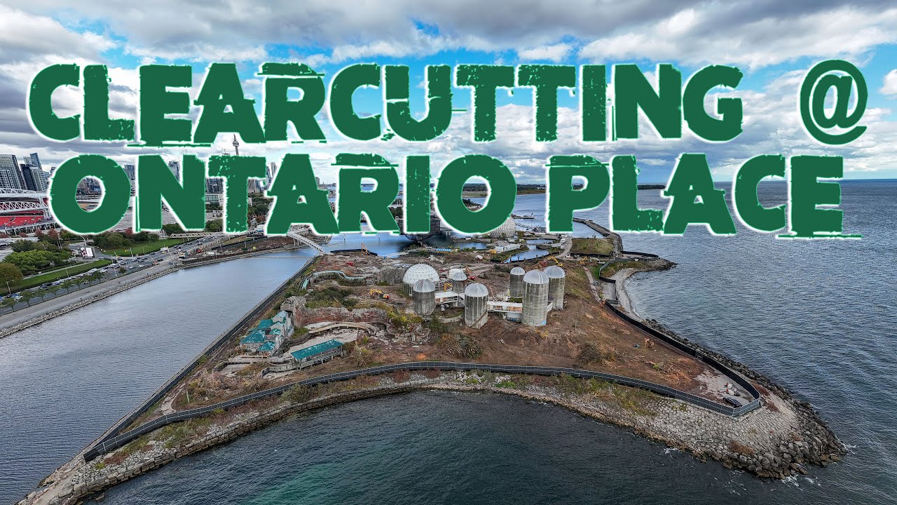 Clearcutting @ Ontario Place