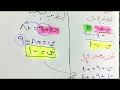معادلات الجمع والطرح (للصف الأول متوسط الفصل الدراسي الأول )