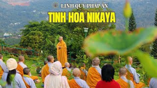 NIKAYA Thiền Quán - Từ Bỏ Bất Hạnh - Hướng Đến Ly Tham