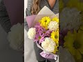 Созвездие хризантемы