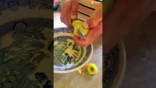 Xoconostle para comer #comida #opuntia #fruta #gastronomía #comidamexicana #food #shorts #tuna