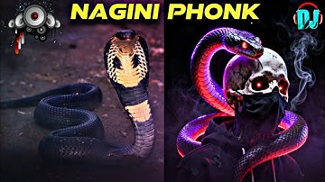 NAGINI PHONK | DJ HARISH GADWAL | NAGINI DANCE | NAGINI DJ SONG | NAGINI MUSIC