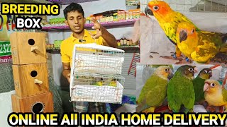 how to order online  birds  // online parrot Birds home delivery // online Cocktail birds Delivery