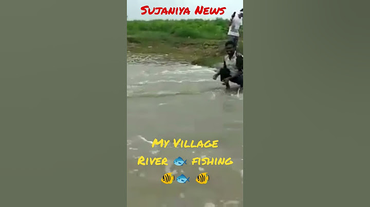 flying fish🐠 fishing in River 🐠🐟/ my village Life, #fishing #fish/ fishing 🎣 in Gujarat river