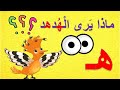 قصة حرف الهاء ه تعلم حرف ه حرف الهاء بدون موسيقى الحروف العربية درس الهاء Arabic Letters 