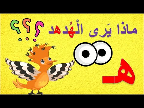 قصة حرف الهاء ه تعلم حرف ه حرف الهاء بدون موسيقى الحروف العربية درس الهاء Arabic Letters 