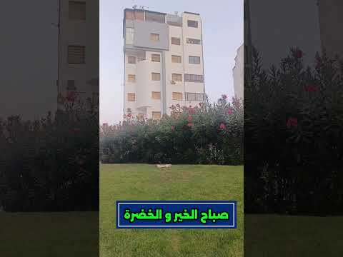 لعرف المكان راه حافظ مدينته