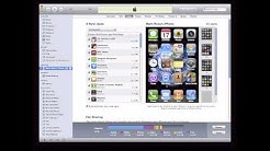File Sharing in iTunes.mov