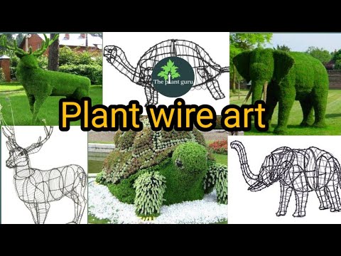 Plant wire art, पौधों को आकार कैसे दे, box topiary animal art, new idia