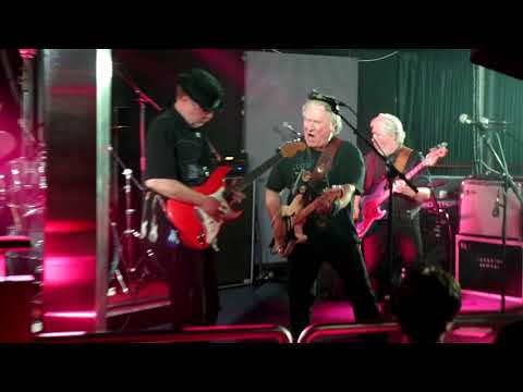 The Oldies - Hippy Hippy Shake
