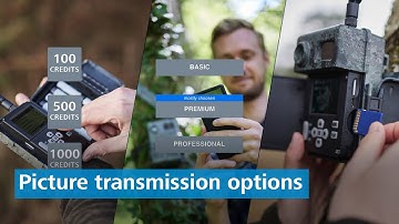 How can I get the recordings of my ZEISS Secacam (SD, prepaid, subscription)?