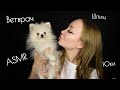 ASMR Ветеринарный врач / Асмр Ветклиника / Ветврач / Врач для животных / Ролевая игра /roleplay game