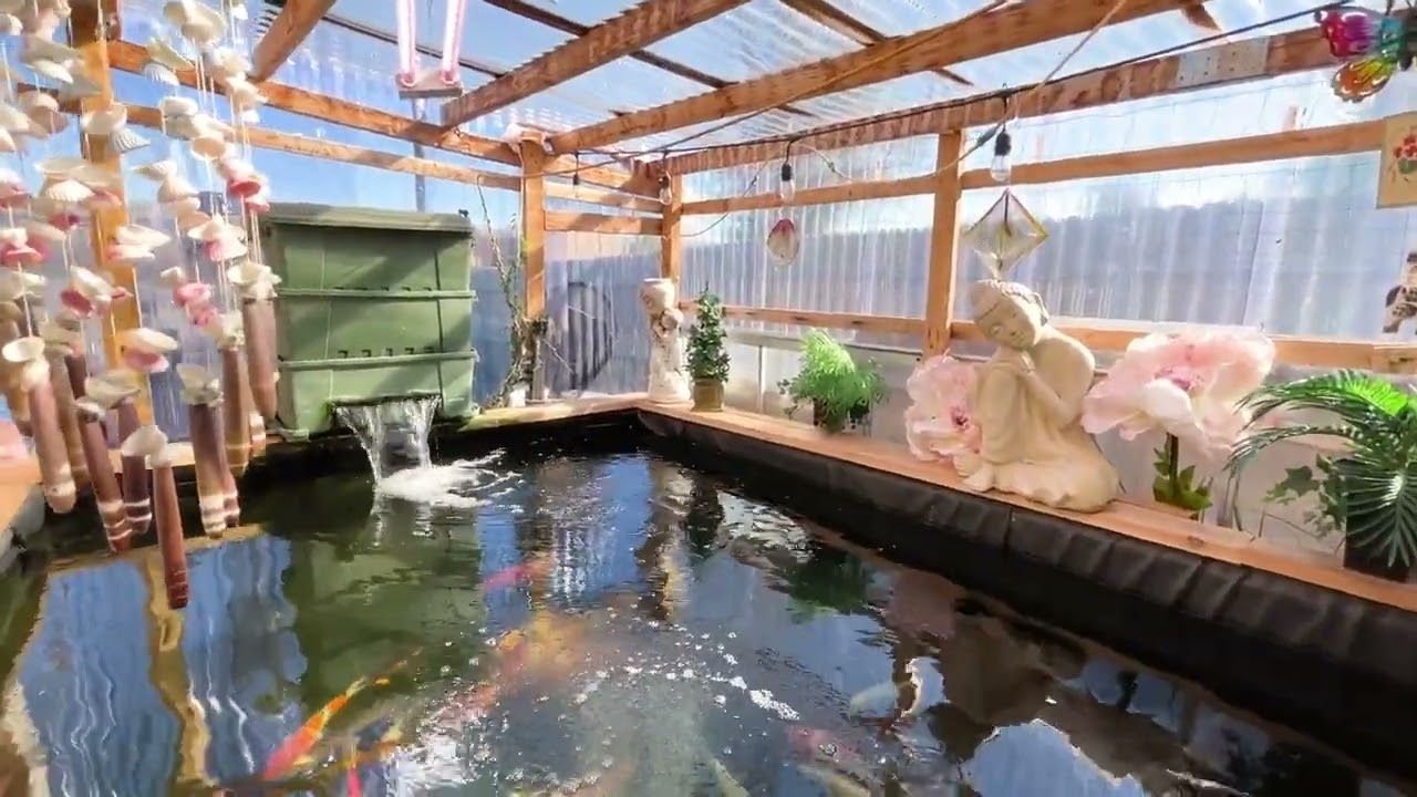 Iphone 12 video. Sinna 1